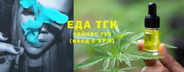 индика Балабаново