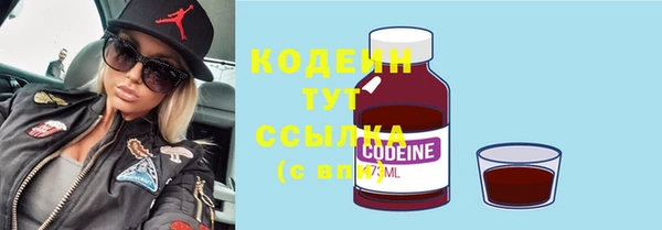 индика Балабаново