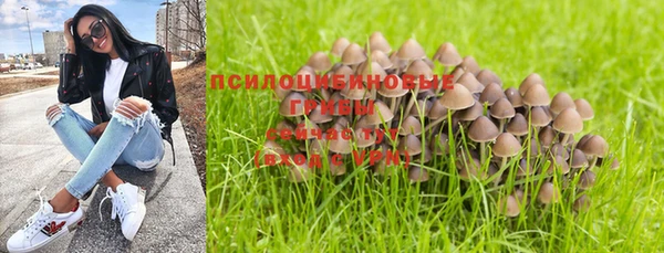 индика Балабаново