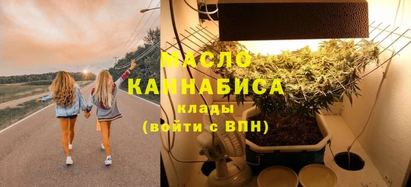 индика Балабаново