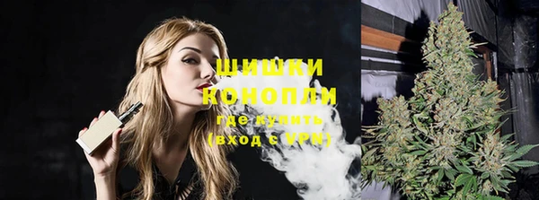 индика Балабаново