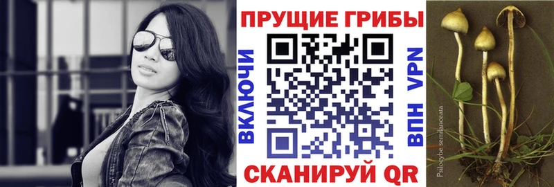 MEGA ONION  Губаха  Галлюциногенные грибы GOLDEN TEACHER 